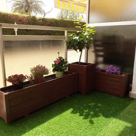 Apartamento En La Playa Miami Playa Екстер'єр фото