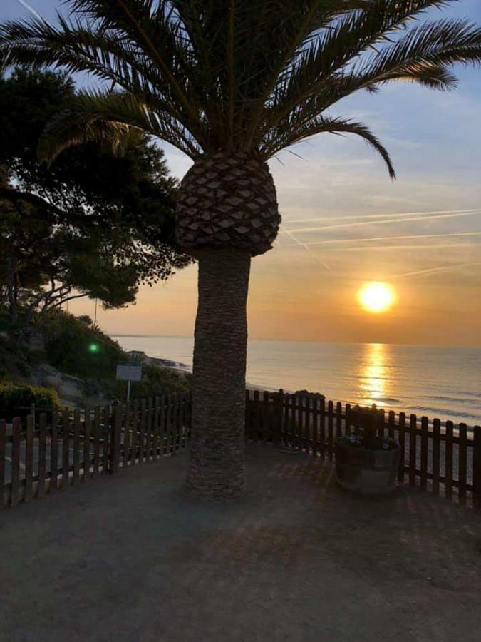 Apartamento En La Playa Miami Playa Екстер'єр фото